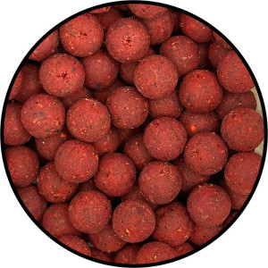 Premium Garlic Robin red