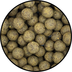 Premium Krill Mussel