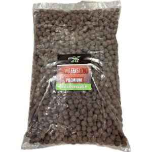 Premium Amino Sensation