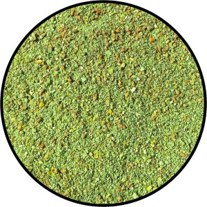 Dutch Champion Feeder Green