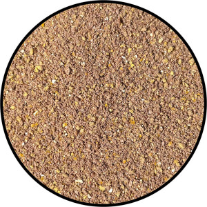 Dutch Champion Feeder Brown