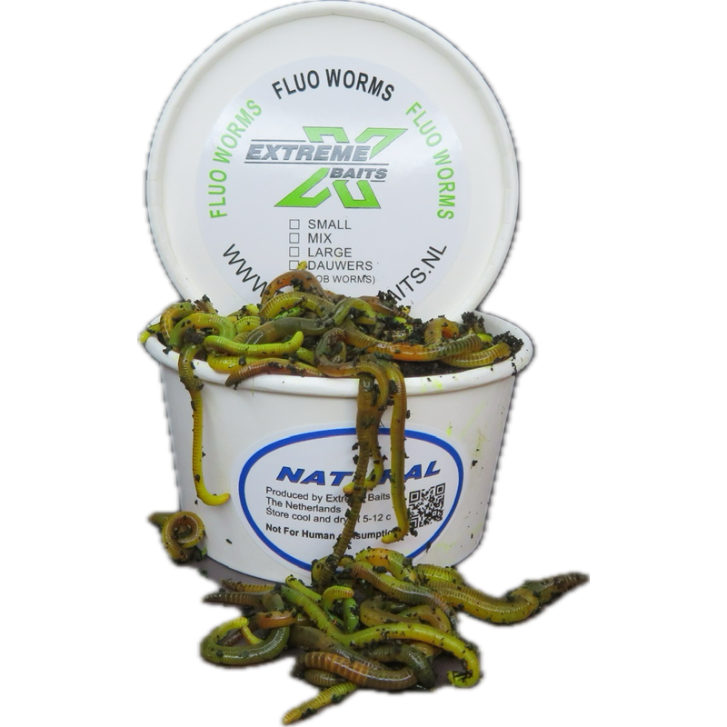 Fluo Worms Groot Natural Fluo Worms Groot Natural