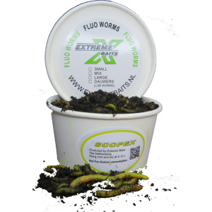 Fluo Worms Mix Scopex